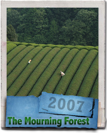 2007 Naomi Kawase film The Mourning Forest