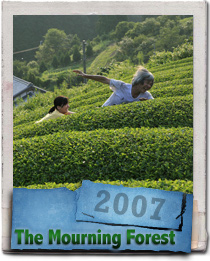 2007 Naomi Kawase film The Mourning Forest