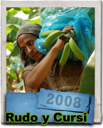 Gael Garcia Bernal in Rudo y Cursi